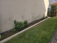 Jardin 2026-03-28 (2)